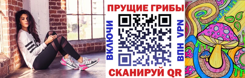 Псилоцибиновые грибы Psilocybe  нарко площадка формула  Батайск  закладки 
